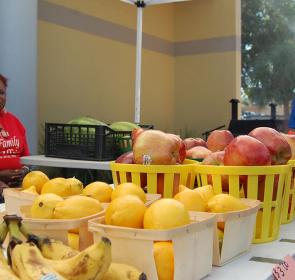 NewtownFarmersMarketNateWillis__2017Opt.jpg