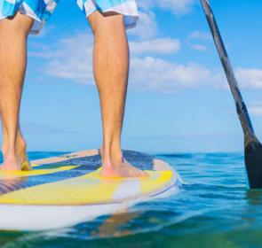 Paddleboarding-in-Sarasota-County_MilesArticleOpt_0.jpg Paddleboarding-in-Sarasota-County_MilesArticleOpt_0.jpg
