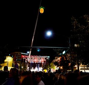 PineappleDrop_NewYear_Sarasota_NormanSchimmel_rgb_hd (1).jpg