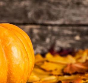 PumpkinFest_OPT_0.jpg