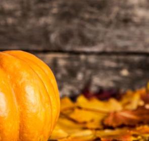 PumpkinFest__2017Opt.jpg