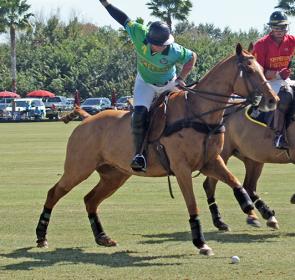 RS1296_Polo6-VS_2017Opt.jpg RS1296_Polo6-VS_2017Opt.jpg