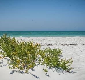 RS1997_LidoBeach-South__Fixed__2017Opt.jpg