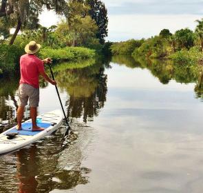 SUP-Alligator-Creek-Liz-Sandburg_1__2017Opt.jpg SUP-Alligator-Creek-Liz-Sandburg_1__2017Opt.jpg