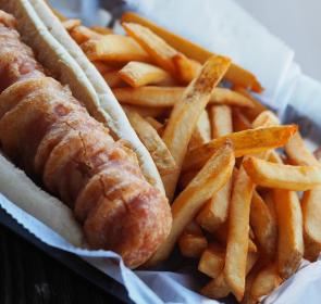 Salty Dog at Salty Dog.jpg