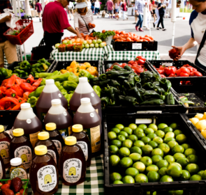 Sarasota Farmers Market_0.png