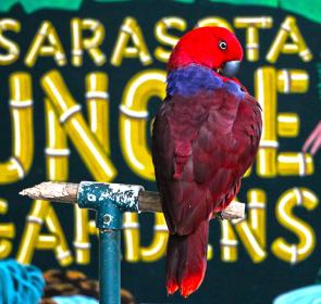 SarasotaJungleGardens2014_65__2017Opt.jpg