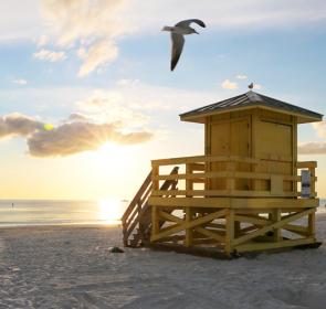 SiestaKey113015_012_2017OPT.jpg SiestaKey113015_012_2017OPT.jpg