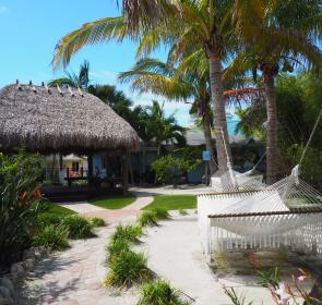 Tropical Breeze-Siesta.jpg