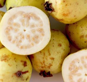 TropicalFruits__081417_2__2017Opt.jpeg