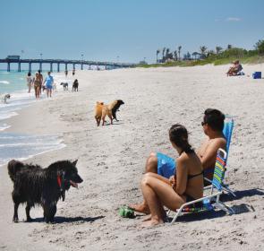 Venice___Brohard_Beach_Dog_Beach_STAIT7cQ_tzmnnpk2gMX61n_cmyk_l_0.jpg Venice___Brohard_Beach_Dog_Beach_STAIT7cQ_tzmnnpk2gMX61n_cmyk_l_0.jpg