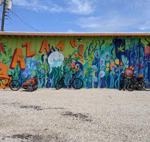 Bavaro's Pizza Napoletana