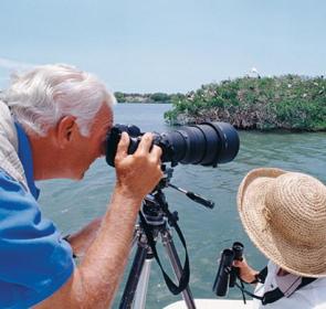 birding-photography-by-boat1_0_2.jpg