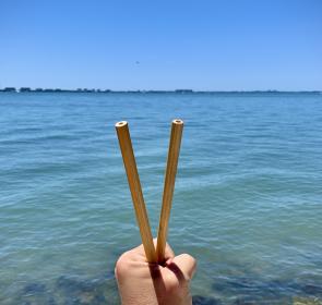 reusable straws_sarasota bay_2021_cellini.jpg