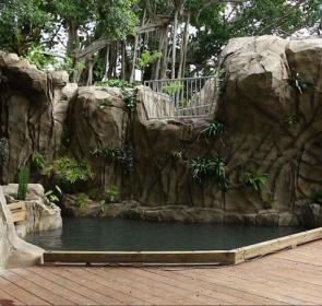 selby-gardens-unveils-childrens-rainforest-garden-1.jpg