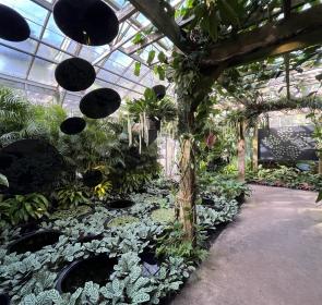 Selby Gardens