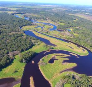 myakka state forest