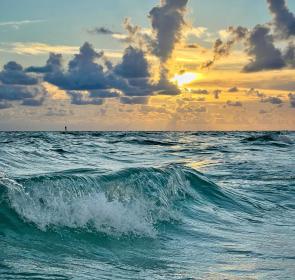 sarasota gulf of mexico