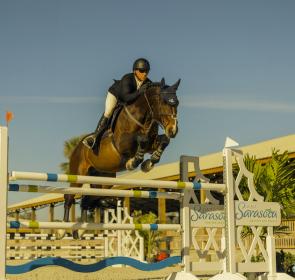 fox lea farm horse jumping
