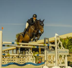 fox lea farm horse jumping