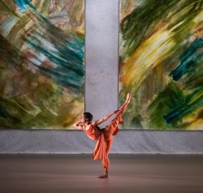 woman dancer of the sarasota ballet