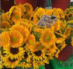 sarasota farmers market flowers