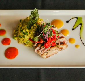 Selva Grill Downtown Sarasota