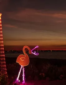 Light up trees and flamingos by water. in late evening