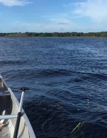 Canoeing-with-Gators-Matt-Sandburg_1__2017Opt.jpg