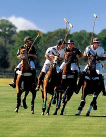 LakewoodRanch_Polo__2017Opt.jpg