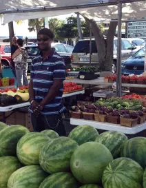 Siesta-Key-FarmersMarket__2017Opt.jpg
