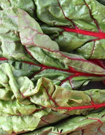 VSC_Coudal_Chard__OPT.jpg
