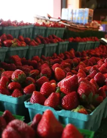 YodersFarmersMarket2014_10_rgb_hd.jpg