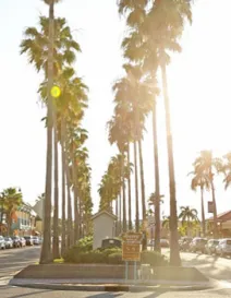 Downtown Venice.  Photo Credit: Heather Young.