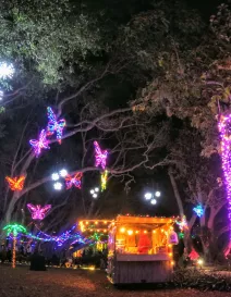 lights-in-bloom-selby-butterflies-2020-article.JPG