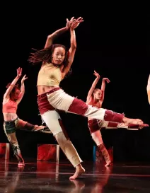 Sarasota Dance Company