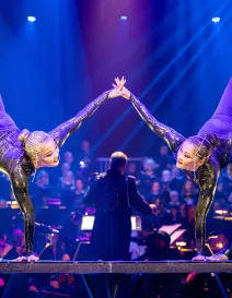 Circus Arts