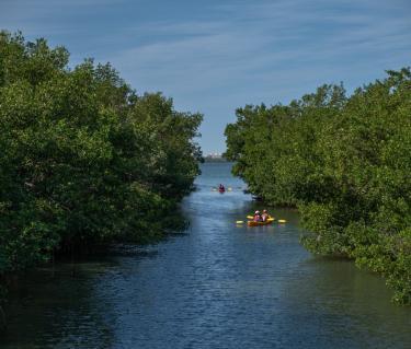 thebaykayaking