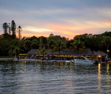 Chard. Photo Courtesy Nicole Coudal