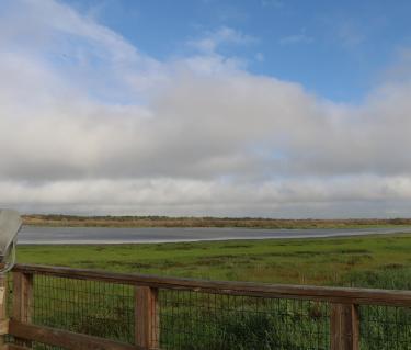 BirdingMyakka2013_09_rgb_hd.jpg