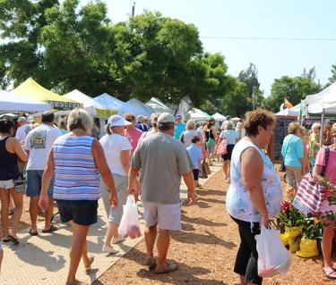 Englewood Farmer’s Market