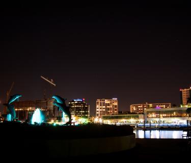 NightBayfront021116_002.JPG