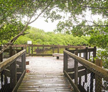 
Quick Point Nature Preserve
