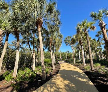Haunted Trails at Oscar Scherer State Park