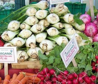 
Farmers Market. Photo credit: Robin Draper

