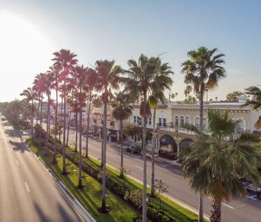 Venice_Ave_Drone-19_SgMZgxm40lyhWi2t7JCmHVr18q0ABlZBh_rgb_l_0.jpg