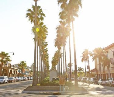 Downtown Venice.  Photo Credit: Heather Young.