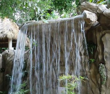 Rainforest Garden at Selby Gardens. Photo Credit: Eddie Kirsch.