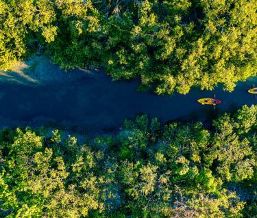 the bay sarasota kayaking