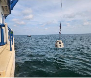 artificial reefs city of sarasota